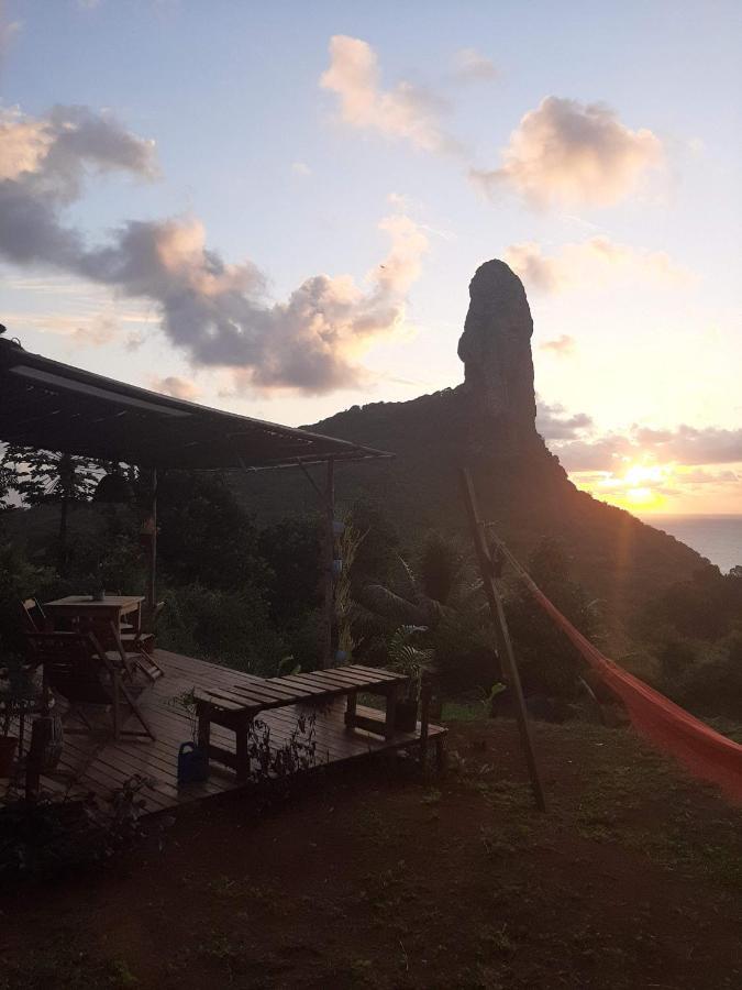Vida De Ilha Fernando de Noronha