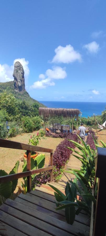 Vida De Ilha Fernando de Noronha